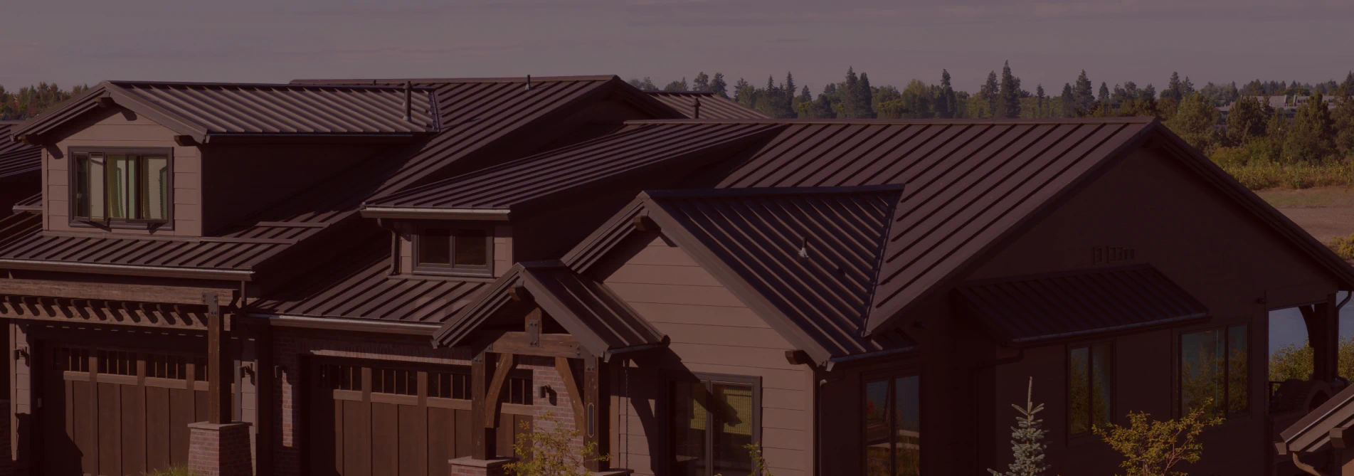residential house with metal roof